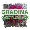 Cactusi-arad
